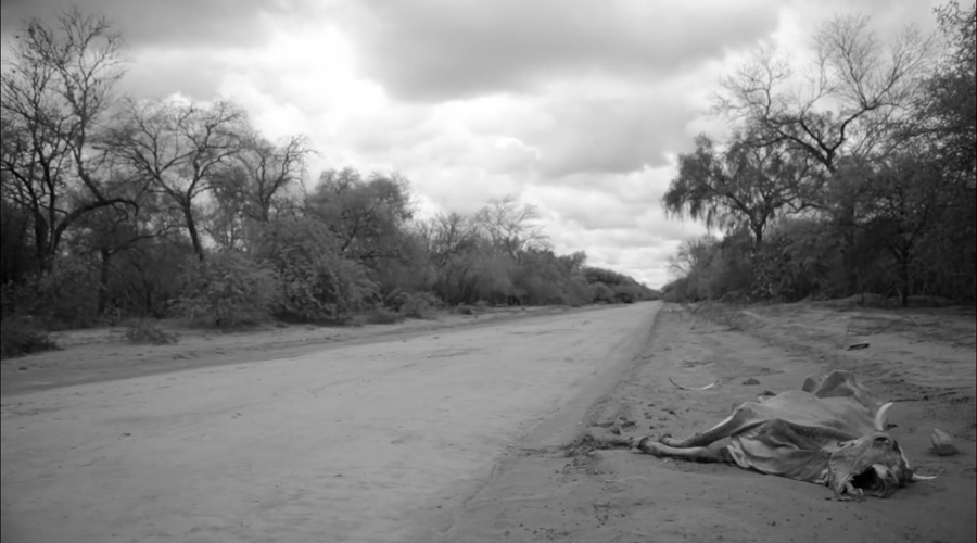 “Gran Chaco”, una mirada sobre un genocidio sin armas