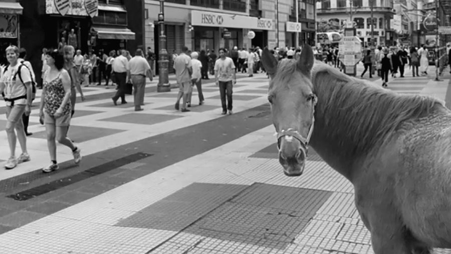 «El periodismo es un caballo caminando por la peatonal»