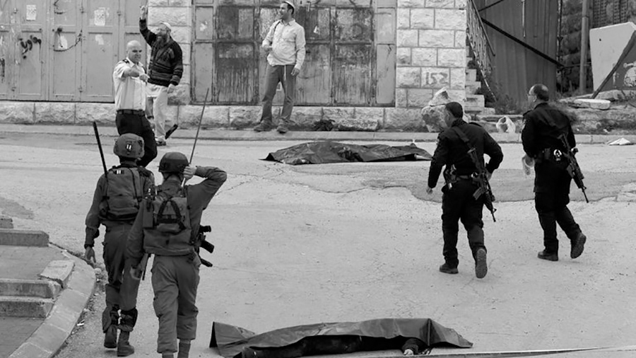 Palestina: los números macabros de la ocupación