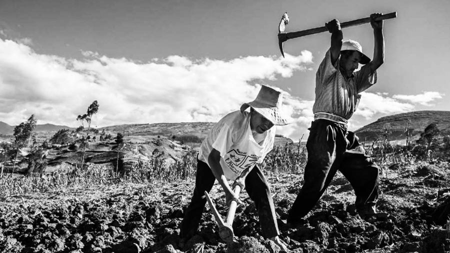Chile: a 50 años de la Reforma Agraria | La tinta