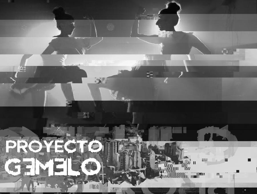 proyecto-gemelo-3