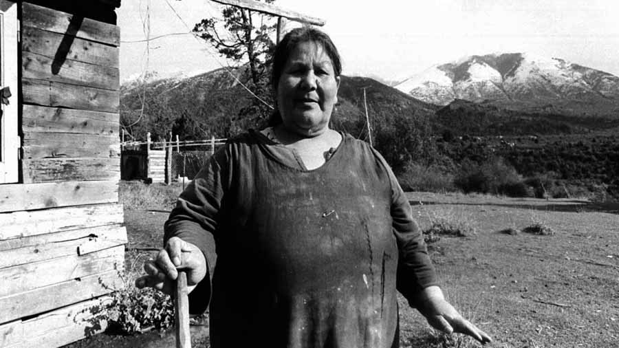 Mapuche, gente de esta tierra