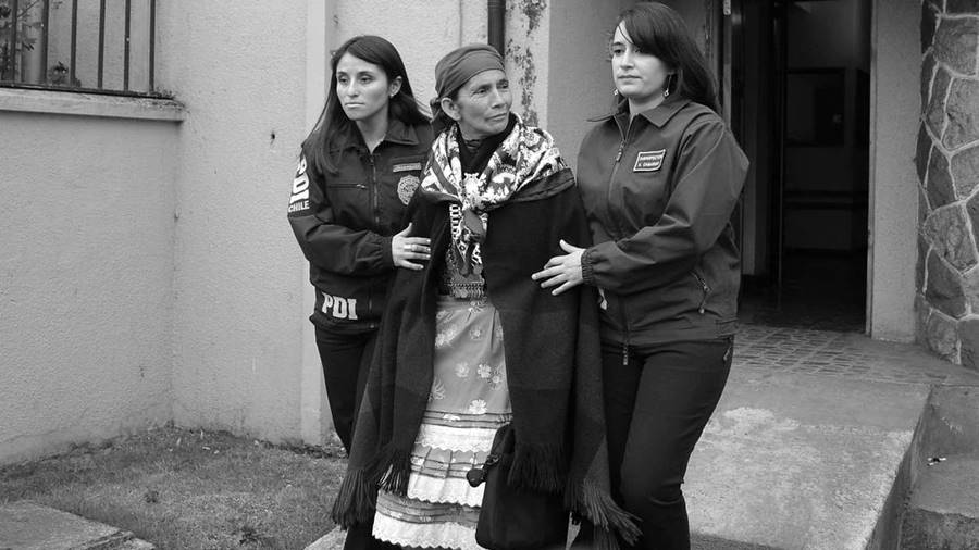 Nación mapuche: liberaron a Francisca Linconao y a los comuneros vinculados al Caso Luchsinger-Mackay