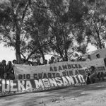 Avanza el juicio de Monsanto/Bayer contra Río Cuarto