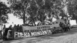 Avanza el juicio de Monsanto/Bayer contra Río Cuarto