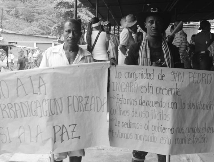erradicacion-forzada-colombia