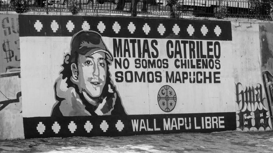 matias-catrileo-lucha-mapuche