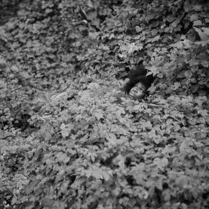 ryan-mcginley-bosque-mujer-negra-escondida-arbustos-plantas