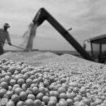 El ‘boom’ de la soja en Argentina y Paraguay