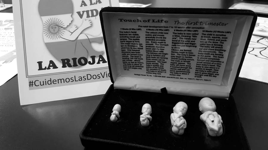 La Rioja: proponen asueto y transporte gratis para marchar contra el aborto