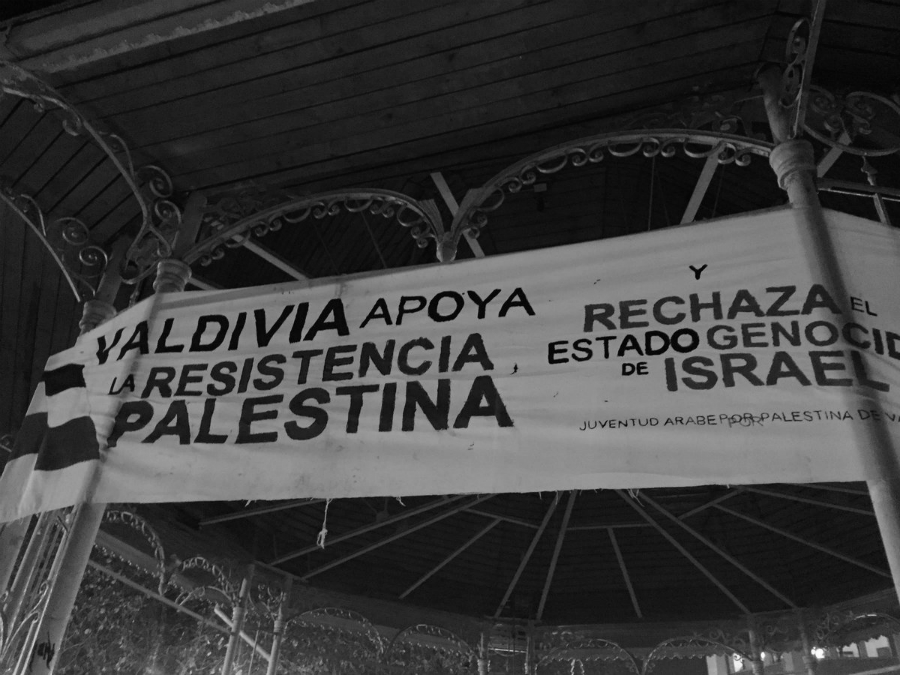 Chile Valdivia apoya a Palestina la-tinta