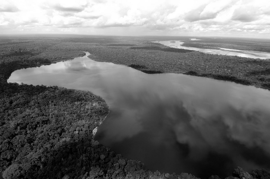 Ecuador Amazonia la-tinta
