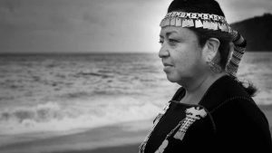 Voces de mujeres mapuches en la poesía actual
