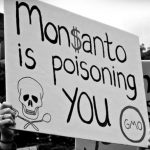 Otra condena contra Monsanto por causar cáncer, y se vienen 11.200 demandas más en Estados Unidos