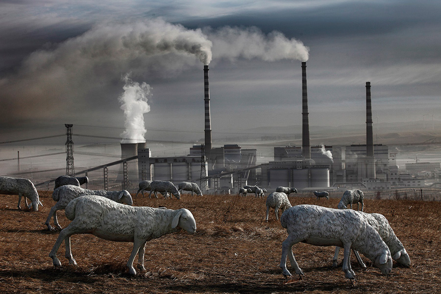 Debido a la explotación de las minas de carbón, las praderas de Holingol quedaron devastadas y desprovistas de ganado vacuno y ovino. Para “mejorar” la imagen de la zona, el gobierno local instaló más de 120 esculturas de ovejas y caballos. © Lu Guang