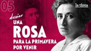 Una Rosa para la primavera por venir #5: Las semillas de Rosa en la revolución feminista
