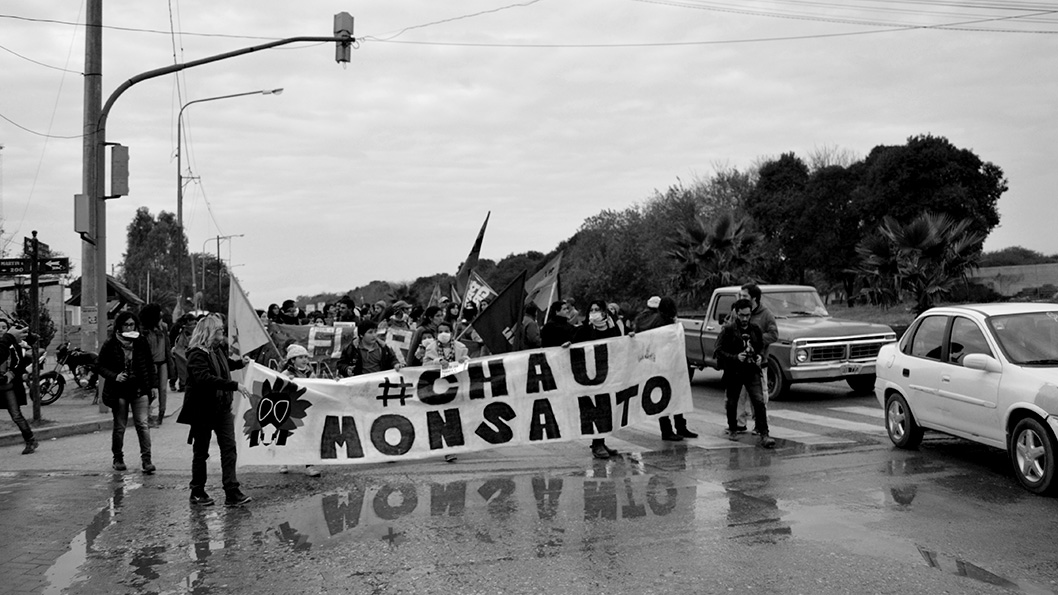 Estado, Monsanto y transgénicos: condenas en EE.UU, y a la espera de un fallo de la Corte en Argentina