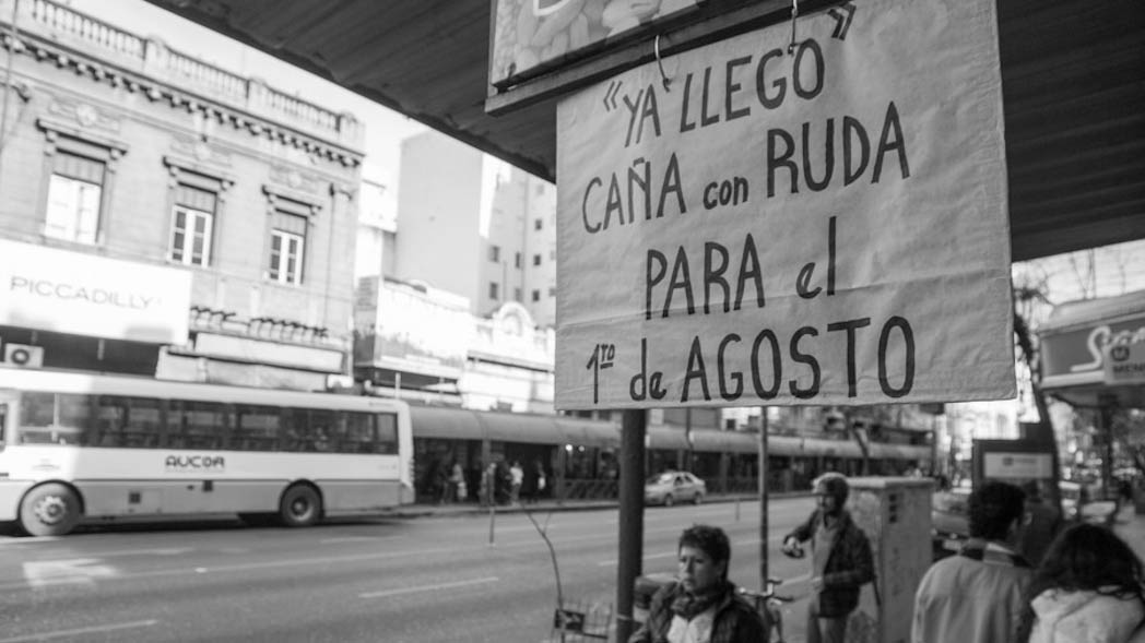 Cana Con Ruda Y A Pasar Agosto La Tinta