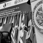 La OEA que viene
