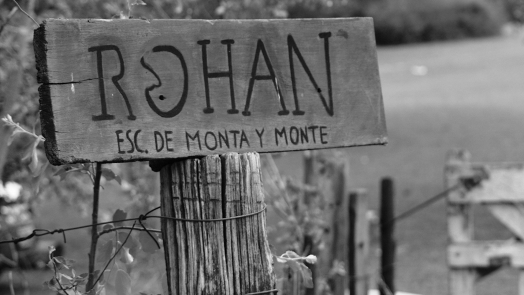 Rohan-monte-monte-caballos-malagueno-sala-prensa-ambiental-01