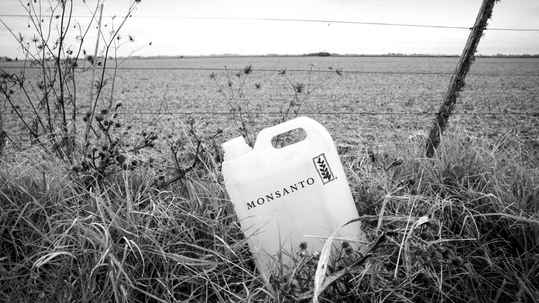 Monsanto y el conflicto por la Ley de Semillas: actualidad y perspectivas