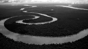 amazonas-selva-brasil-rio