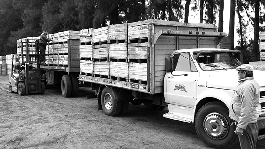camion-transporte-alimento