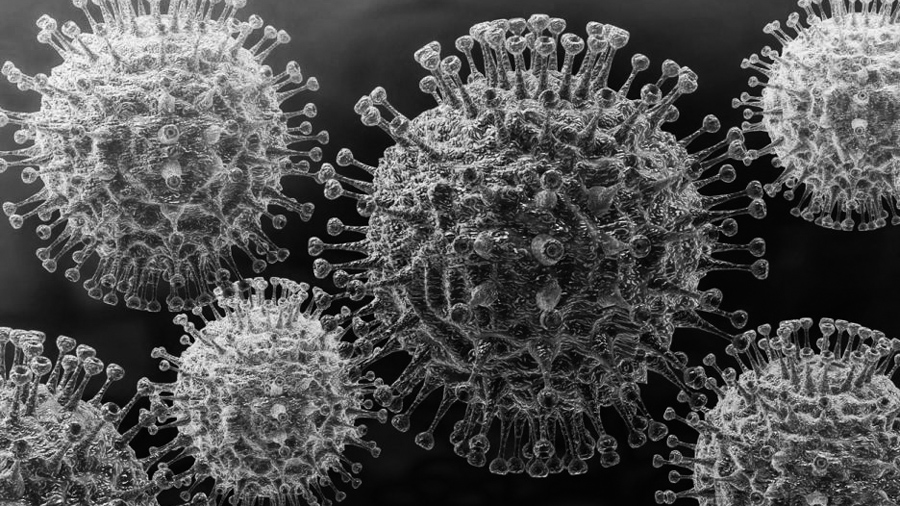 coronavirus-virus-moleculas