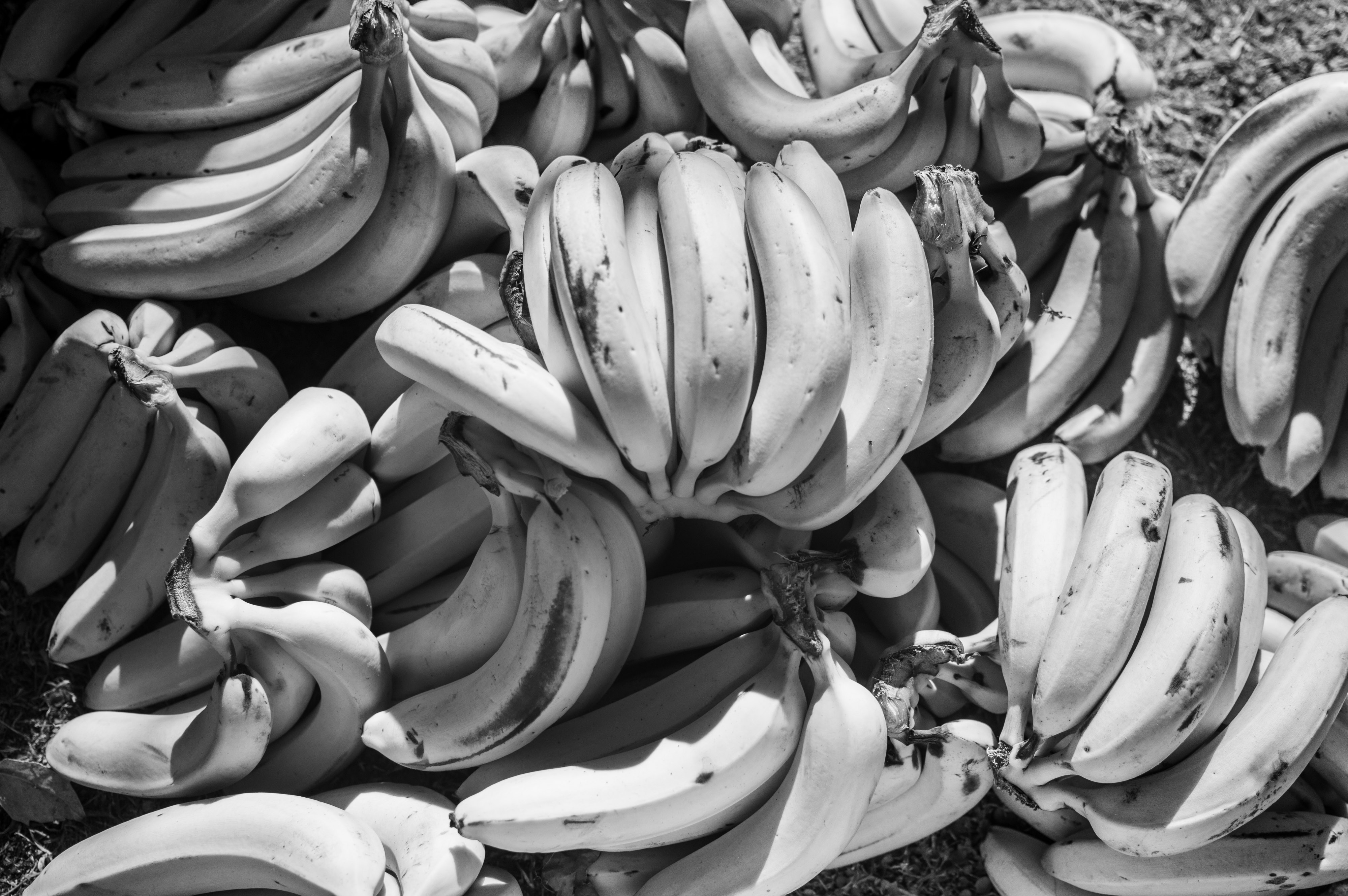 banana-fruta-alimento