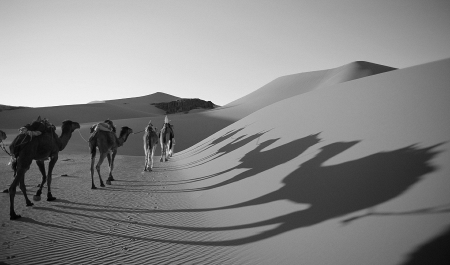 Sahara nomades la-tinta