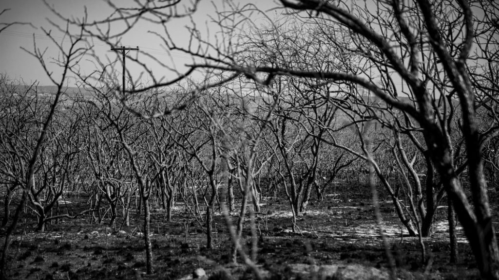 incendios-capilla-del-monte-uritorco2