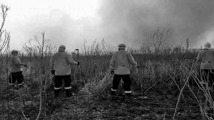 incendios-intencionales-Rosario-ley-humedales-productores-agropecuarios