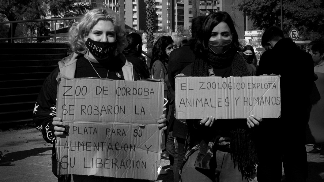Una promesa hecha mil veces: la reconversión del Zoológico de Córdoba