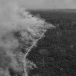 Incendios de la Amazonía: camino a alcanzar el desastre de 2019