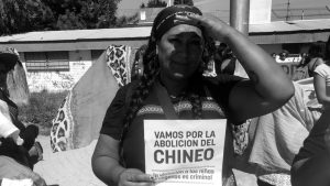 Columna de géneros en #DesdeLaGente: Campaña ¡Basta de chineo!