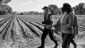 De tierras privadas ociosas a quintas para la producción de alimentos