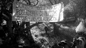 A río revuelto, ganancia de especuladores: aclaraciones sobre las posesiones en Cuesta Blanca