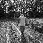 Soberanía alimentaria y derechos campesinos para acabar con el dilema del hambre