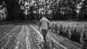 Soberanía alimentaria y derechos campesinos para acabar con el dilema del hambre
