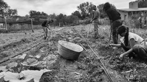 Capilla del Monte aprueba ordenanza de promoción cultural de la agricultura local