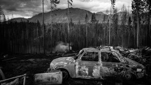 Fotogalería: incendios en la Patagonia