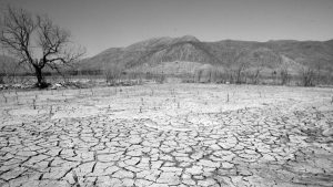 Hacia la desprivatización del agua en Chile
