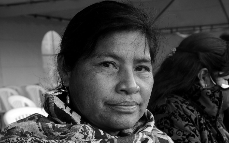 Ecuador mujer campesina la-tinta