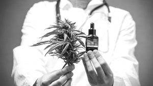 cannabis-medicinal-cordoba2