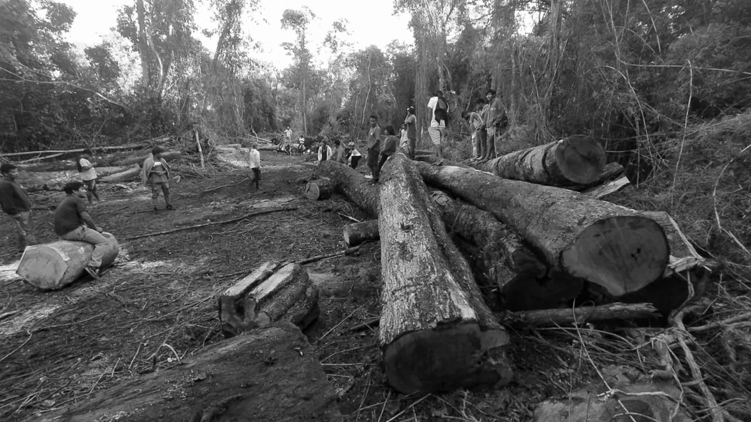 Comunidades guaraníes luchan contra el desmonte en Tekoa Ka’a Kupe