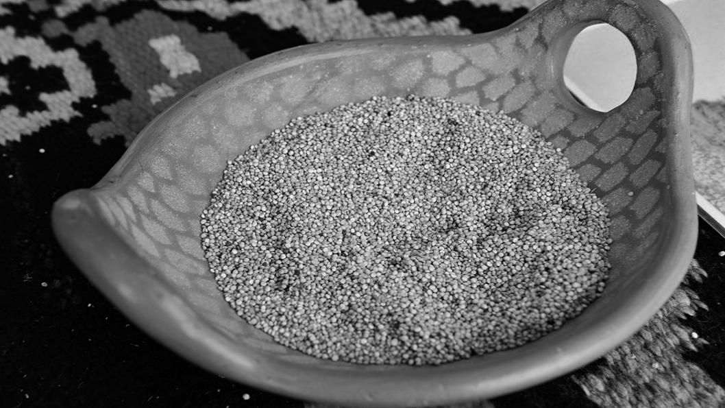 plantas-semillas-alimento-quinoa-alimentación-2