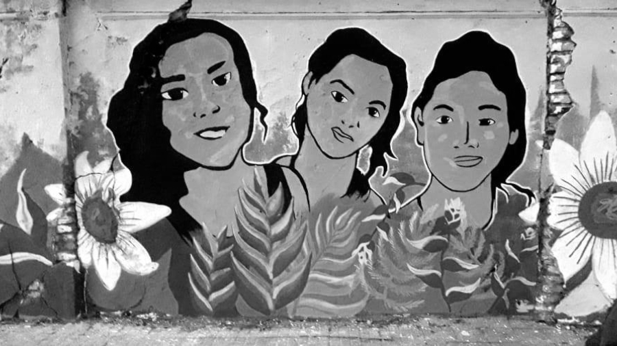Argentina La Plata mural por Lichita Maria Carmen Lillian-Villalba la-tinta