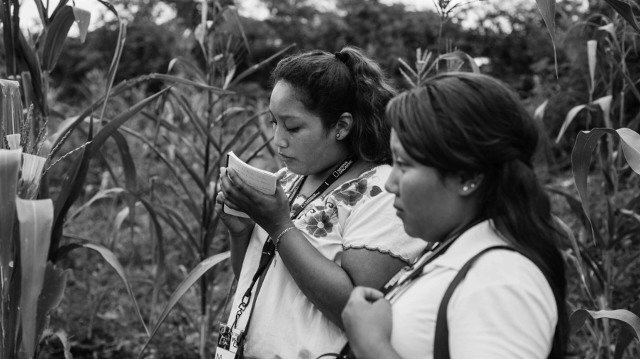 Mexico mujeres pueblo maya la-tinta