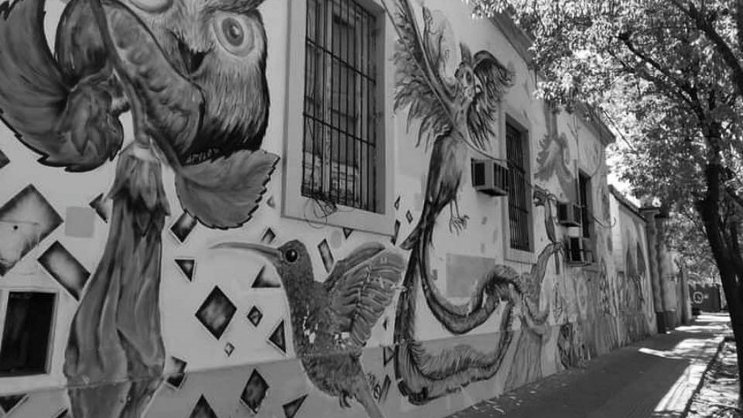 Casa-del-Joven-Neuropsiquiátrico-Barrio-Juniors-murales