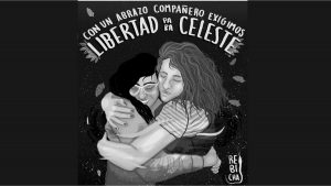 Córdoba: detienen a mujer por tener dos plantas de cannabis para fines medicinales